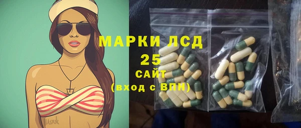 ECSTASY Белокуриха