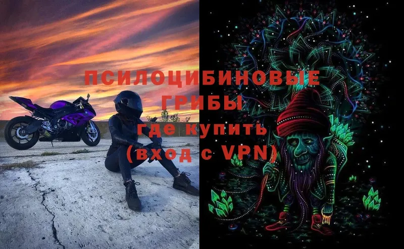 Псилоцибиновые грибы Cubensis  Покров 